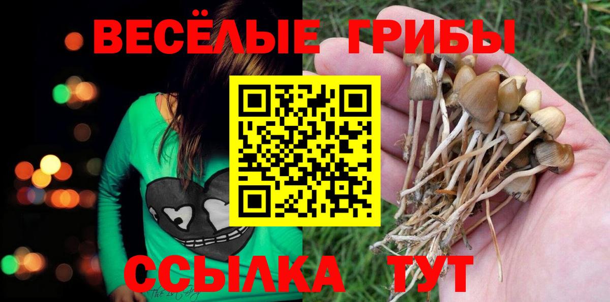 Галлюциногенные грибы MAGIC MUSHROOMS  Вход с VPN  Выкса 