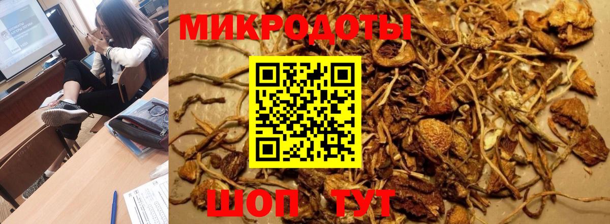 Псилоцибиновые грибы мицелий Выкса